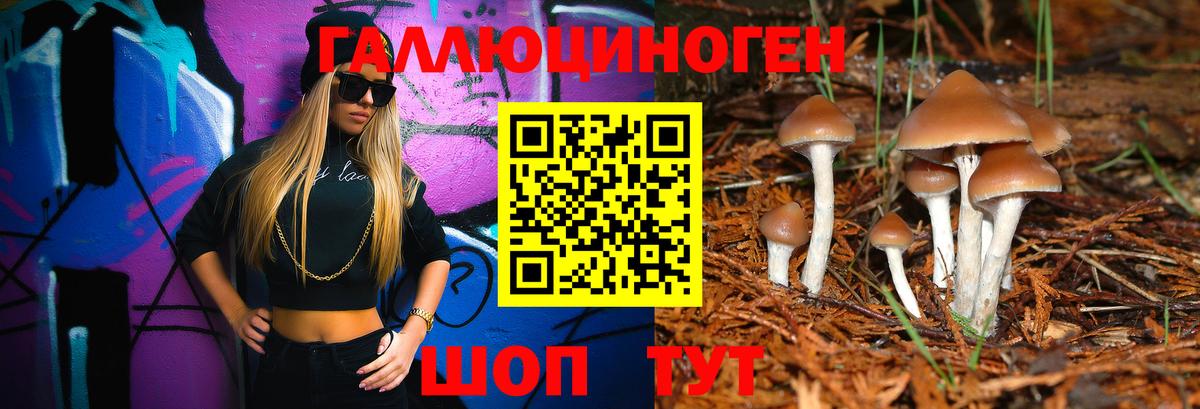 Галлюциногенные грибы Psilocybe Кирово-Чепецк